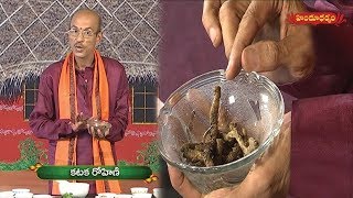 కటక రోహిణితో ఔషధ గుణాలు  Benefits of PicrorhizakurroaKutki  Veda Vaidhyam  Hindu Dharmam [upl. by Akenom719]