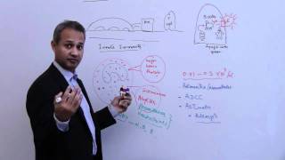 Immunology Basophil Mast Cells Lecture 4 Part 7 [upl. by Asenad]