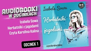 Herbatniki z jagodami  Izabela Sowa Audiobook PL  18 [upl. by Kerril]