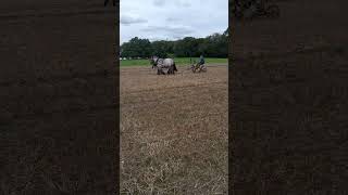 Hurstpierpoint ploughing match shorts [upl. by Ailicec36]