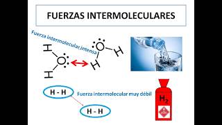 Fuerzas intermoleculares [upl. by Richy]