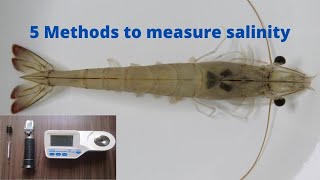 5 Methods to measure pond water salinity Telugu [upl. by Drewett582]