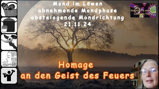 MondART  Eine Homage an den Geist des Feuers [upl. by Yniar]