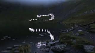 Marconi Union  Weightless Official Video Reversed [upl. by Aihsotal479]