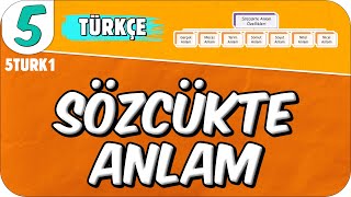 Sözcükte Anlam 📙 5TURK1 2025 [upl. by Eustace]