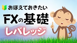 レバレッジとは？覚えておきたい基礎知識 ～FX入門動画＜壱＞～ [upl. by Dylana703]