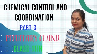 Chemical control and coordination Pituitary gland Class11th zoology biology educational [upl. by Derna]