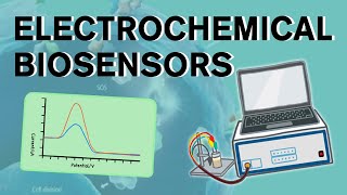 Electrochemical biosensors [upl. by Draner]