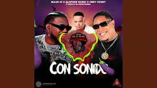 BULIN 47 CEKY VICINY  CON SONIDO DOBLE TONO [upl. by Stanhope120]