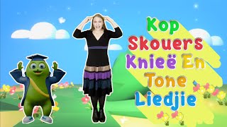 Leer oor jou liggaamsdele van kop tot tone [upl. by Orips929]