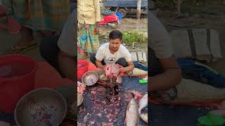 Amazing Big Katla Fish Super First Cutting fish fishcutting fishcuttingskills youtubeshorts [upl. by Jannery814]