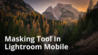 How To Use the Masking Tool In Lightroom Mobile For Incredible iPhone Photos [upl. by Toddie353]