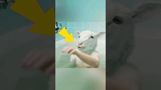 Half human half goat shorts movie viral [upl. by Meibers]