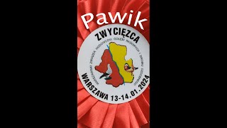 Pawik i Pawik Ogrodowy  Warszawska Wystawa Gołębi  Styczeń 2024 [upl. by Sells350]