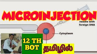 MICROINJECTION  TAMIL  VECTORLESS GENE TRANSFER  BIOTECHNOLOGY PRICIPLES  STD 12 [upl. by Acsehcnarf]