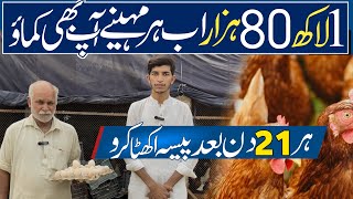 Business of Poultry Farming  Golden Misri Egg laying Hen  Desi Murgi [upl. by Maidel]