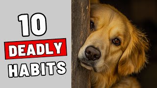 10 Habits That Are Slowly KILLING Your Dog [upl. by Nerissa]