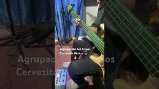 Agrupación los Capos Cervezita 2024 Cover Bass 🔥🎸 [upl. by Lenore]