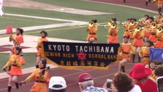 Kyoto Tachibana  Bandfest Passing Review Parade sequence [upl. by Annaitsirhc270]