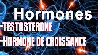 Bonne balance hormonale et Musculation 12 [upl. by Horbal932]