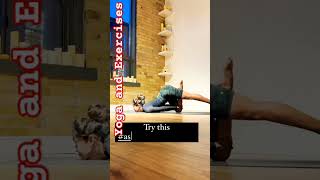 Yoga and Exercises  Stretching amp Stability Workout🧘‍♂️ trending shorts viral exercise yoga yt [upl. by Adnwahs696]