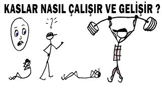 KASLAR NASIL ÇALIŞIR VE GELİŞİR   Bilim Terk [upl. by Sochor]