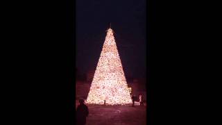 Christmas Tree Light Show at Longleat Safari Park [upl. by Letnuahs499]