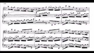 Bach Gamba sonata Bwv 1029  1st movement  31edo Microtonal Quartercomma Meantone [upl. by Dilaw]