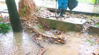 Clearing Flooded Streets After Heavy Rains Drainage by Clearing Drains [upl. by Byrdie]