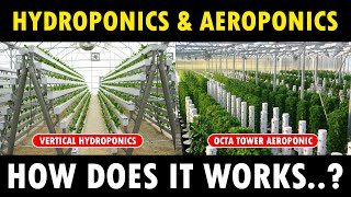 Hydroponic Farming Systems and Aeroponic Farming Systems [upl. by Ahtrim]