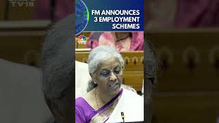 Govt Announces 3 EmploymentLinked Incentive Schemes Based On EPFO Enrolment  Budget 2024  N18S [upl. by Honey57]