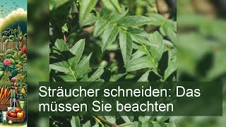 Sträucher schneiden Das müssen Sie beachten [upl. by Neras]