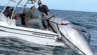 Amazing Fastest Giant Bluefin Tuna Fishing Skill  Most Satisfying Sea Fishing Video [upl. by Eyanaj]