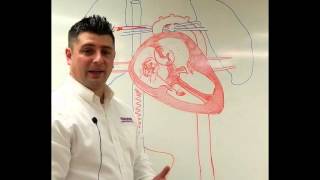 Neonatal Circulation Part 13 Preductal Sp02 [upl. by Helaina]