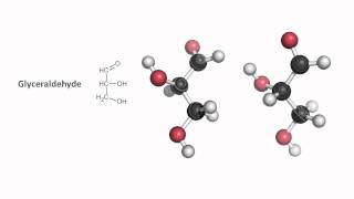 Monosaccharides and stereochemistry [upl. by Etnauj187]