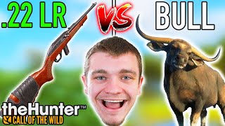 22LR vs Giant Bull [upl. by Eceinehs]