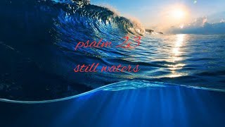 Still Waters Psalm 23 Leanna Crawford musicgenre worshipmusic bible christian [upl. by Sualocin]