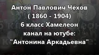 Хамелеон 6 класс Антон Павлович Чехов [upl. by Ahsiket]