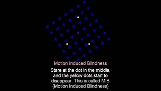 Optical Illusion Motion Induced Blindness [upl. by Ariet]