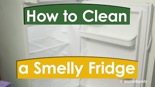 How to Clean a Smelly Fridge  Consumer Reports [upl. by Niwroc]