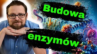 Budowa i działanie enzymów  Kataliza enzymatyczna  Biologia do matury  Metabolizm Zad maturalne [upl. by Myrtle]