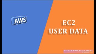 Create an EC2 Instance with EC2 User Data Script To Launch Static Website  EC2 User Data Tutorial [upl. by Reinold]