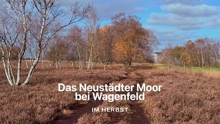 Das Neustädter Moor im Herbst [upl. by Notlem]