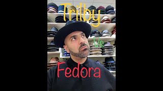 Fedora vs Trilby [upl. by Desimone101]