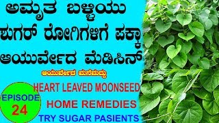 ಶುಗರ್ ಇರುವಂತವರು ಮಾತ್ರ ನೋಡಿ Ayurveda tips Kannada  Mane Maddu Sugar patient home remedie Diabetes [upl. by Bab]