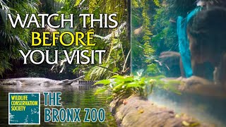 Watch This Before You Visit the Bronx Zoo [upl. by Eloken]