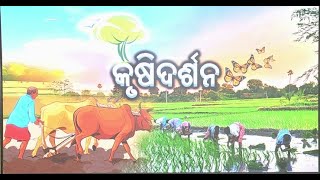 Krushi Darshan  କୃଷି ଦର୍ଶନ  Phone in live  25th Oct 2024600 pm [upl. by Anatol]