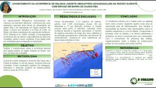 Levantamento da Ocorrência de baleiasjubarte na Região Sudeste com ênfase em Barra De Guaratiba [upl. by Borer]