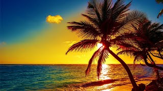 Beautiful Relaxing Peaceful Music Calm Music 247 quotTropical Shoresquot By Tim Janis [upl. by Lamraj680]