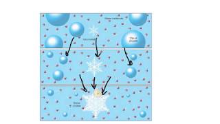 Bergeron processIce Crystal TheoryExplained [upl. by Akcira87]